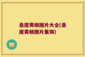 悬崖黄精图片大全(悬崖黄精图片集锦)