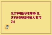 北方种植药材黄精(北方药材黄精种植大有可为)