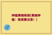 种植黄精株距(黄精种植：株距要注意！)