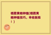 栖霞黄精种植(栖霞黄精种植技巧，丰收新局！)