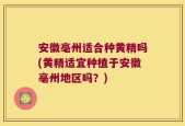 安徽亳州适合种黄精吗(黄精适宜种植于安徽亳州地区吗？)