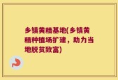 乡镇黄精基地(乡镇黄精种植场扩建，助力当地脱贫致富)