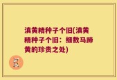 滇黄精种子个旧(滇黄精种子个旧：细数马蹄黄的珍贵之处)