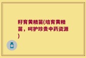 籽育黄精苗(培育黄精苗，呵护珍贵中药资源)