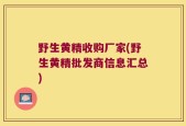 野生黄精收购厂家(野生黄精批发商信息汇总)