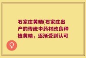 石家庄黄精(石家庄出产的传统中药材改良种植黄精，逐渐受到认可