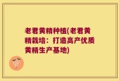 老君黄精种植(老君黄精栽培：打造高产优质黄精生产基地)