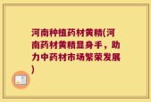 河南种植药材黄精(河南药材黄精显身手，助力中药材市场繁荣发展)