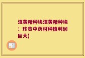 滇黄精种块滇黄精种块：珍贵中药材种植利润巨大)
