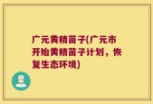 广元黄精苗子(广元市开始黄精苗子计划，恢复生态环境)