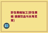 野生黄精加工(野生黄精 健康饮品与长寿灵草)