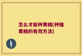 怎么才能种黄精(种植黄精的有效方法)
