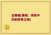 边黄精(黄精：传统中药的神奇之物)