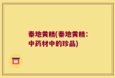 秦地黄精(秦地黄精：中药材中的珍品)