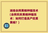 湖南会同黄精种植技术(会同农民黄精种植技术：如何打造高产优质黄精？)