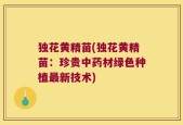 独花黄精苗(独花黄精苗：珍贵中药材绿色种植最新技术)