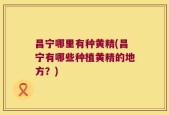 昌宁哪里有种黄精(昌宁有哪些种植黄精的地方？)