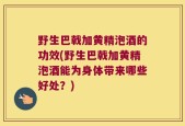 野生巴戟加黄精泡酒的功效(野生巴戟加黄精泡酒能为身体带来哪些好处？)