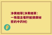 净黄精草(净黄精草：一株蕴含着肝脏健康秘密的中药材)