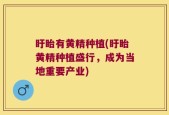 盱眙有黄精种植(盱眙黄精种植盛行，成为当地重要产业)