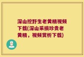 深山挖野生老黄精视频下载(深山采摘珍贵老黄精，视频赏析下载)