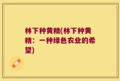 林下种黄精(林下种黄精：一种绿色农业的希望)