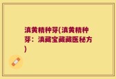 滇黄精种芽(滇黄精种芽：滇藏宝藏藏医秘方)