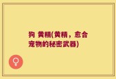 狗 黄精(黄精，愈合宠物的秘密武器)