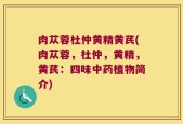 肉苁蓉杜仲黄精黄芪(肉苁蓉，杜仲，黄精，黄芪：四味中药植物简介)