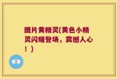 图片黄精灵(黄色小精灵闪耀登场，震撼人心！)