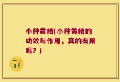 小种黄精(小种黄精的功效与作用，真的有用吗？)