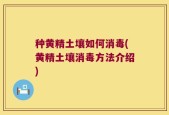 种黄精土壤如何消毒(黄精土壤消毒方法介绍)