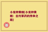 小龙种黄精(小龙种黄精：古代草药的传承之路)