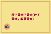 种下黄精下黄金(种下黄精，收获黄金)