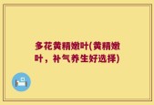 多花黄精嫩叶(黄精嫩叶，补气养生好选择)