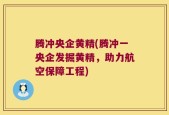 腾冲央企黄精(腾冲一央企发掘黄精，助力航空保障工程)