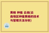 黄精 种植 云南(云南地区种植黄精的技术与管理方法分析)
