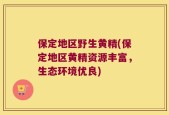 保定地区野生黄精(保定地区黄精资源丰富，生态环境优良)