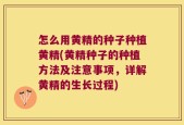 怎么用黄精的种子种植黄精(黄精种子的种植方法及注意事项，详解黄精的生长过程)