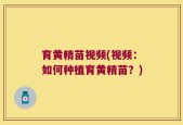 育黄精苗视频(视频：如何种植育黄精苗？)