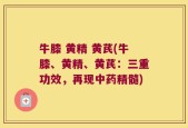 牛膝 黄精 黄芪(牛膝、黄精、黄芪：三重功效，再现中药精髓)