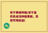 安宁黄精种植(安宁县农民成功种植黄精，获得可观收益)