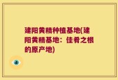 建阳黄精种植基地(建阳黄精基地：佳肴之根的原产地)