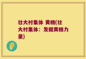 壮大村集体 黄精(壮大村集体：发掘黄精力量)