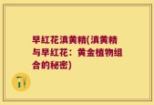 早红花滇黄精(滇黄精与早红花：黄金植物组合的秘密)