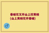 春暖花又开山上挖黄精(山上黄精花开春暖)