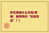野生黄精什么作用(黄精：植物界的“抗癌圣品”？)