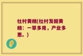 杜村黄精(杜村发掘黄精：一草多用，产业多惠。)