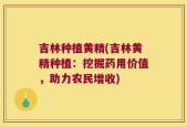 吉林种植黄精(吉林黄精种植：挖掘药用价值，助力农民增收)