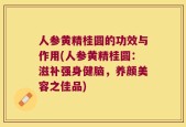 人参黄精桂圆的功效与作用(人参黄精桂圆：滋补强身健脑，养颜美容之佳品)